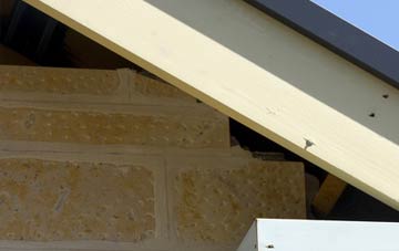 soffit repair Burrough Green