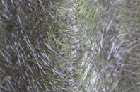 Burrough Green fibreglass roof work